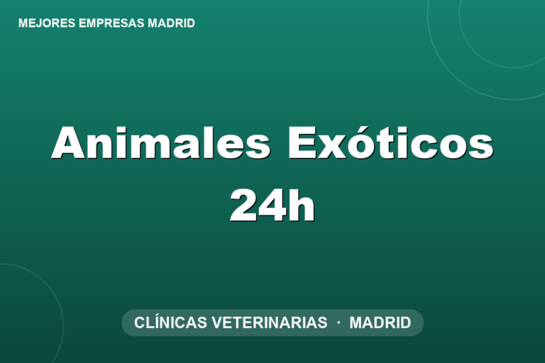 Animales Exóticos 24h Animales Exóticos 24h
