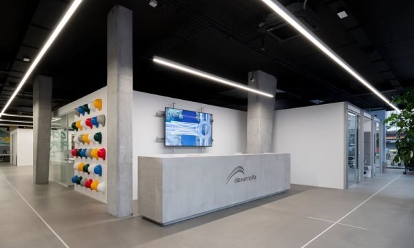 Desarrolla Obras y Servicios S.L.