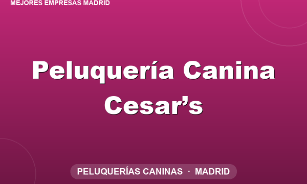 Peluquería Canina Cesar’s