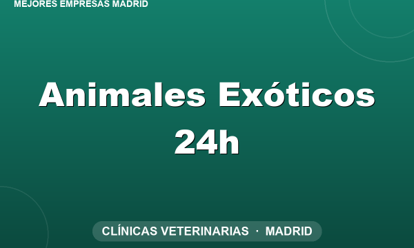 Animales Exóticos 24h